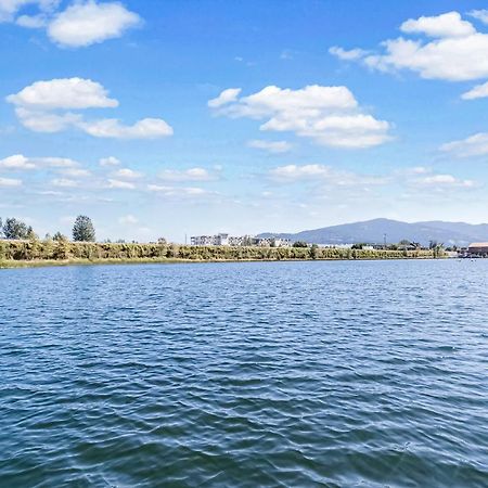 Driftwood Waterfront Gem Apartment Sandpoint Exterior foto